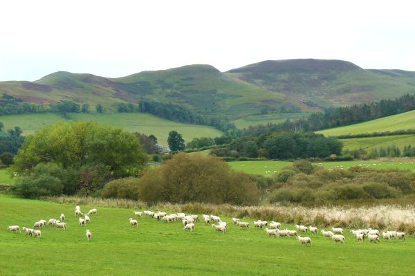 Yetholm